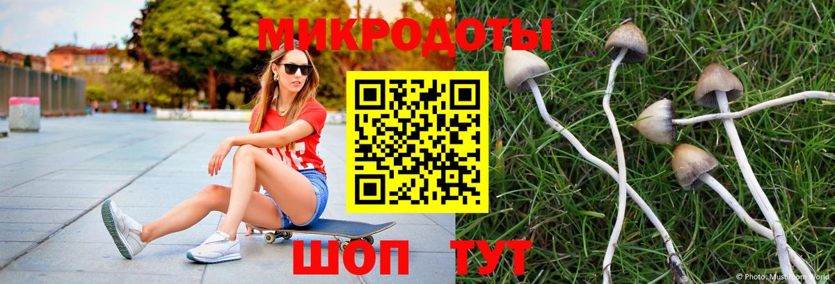 Галлюциногенные грибы Psilocybe  что такое наркотик  Новоалександровск  Псилоцибиновые грибы GOLDEN TEACHER  Вход с VPN 